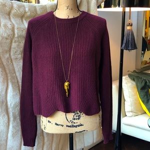 AUTUMN CASHMERE Plum colored sweater